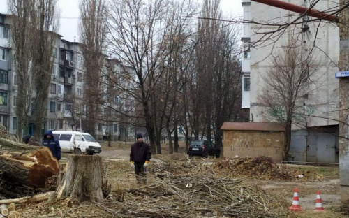 Осторожно! В Авдеевке пилят деревья (ФОТОФАКТ)
