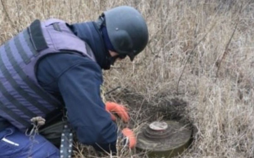 В Україні створюють 80 нових піротехнічних підрозділів для розмінування територій
