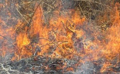 Рятівникам Авдіївки повідомили, що палає трава
