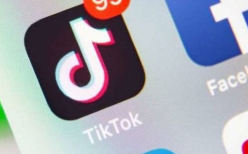 Українці просять заборонити TikTok: зареєстрували петицію