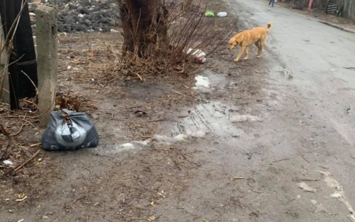 Безвідповідальні мешканці Авдіївки залишають сміття посеред  вулиць