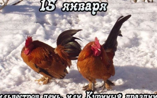День в календаре – 15 января: погода, приметы, праздники