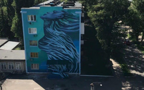 В Авдеевке обсудили перспективы развития стрит-арта в городе (ФОТО)