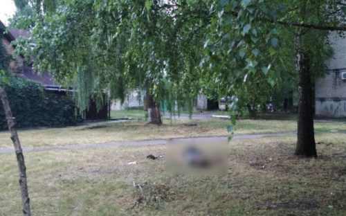 Авдеевский убийца не может объяснить свои действия