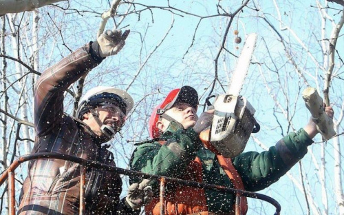 В Авдіївці знеструмлять вулицю Металургів