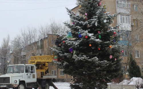 В Авдеевке раздели зеленых красавиц (ФОТОФАКТ)