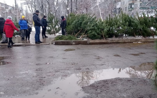 Елочные базары в Авдеевке: во сколько горожанам обойдётся лесная красавица?