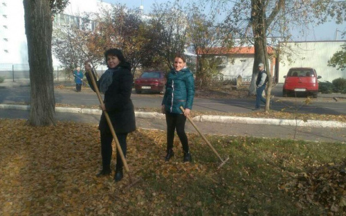 Авдеевку очищали от осенней листвы (ФОТО)