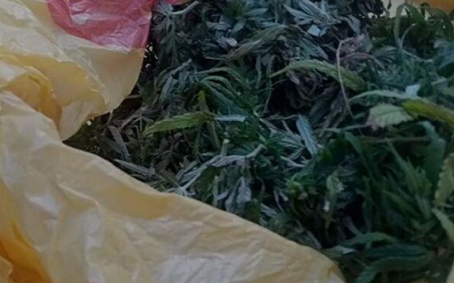 Полиция Авдеевки задержала двух любителей марихуаны