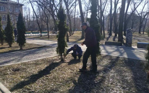 В Авдіївці комунальники наводять лад у зелених зонах міста