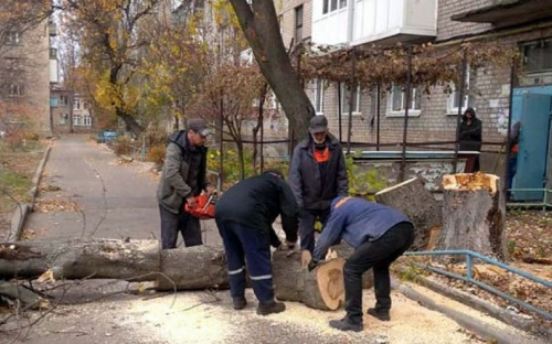 Авдіївці пільгових категорій можуть отримати дрова