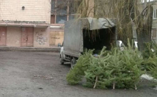 В Авдіївці визначили місця для тимчасової реалізації ялинок та сосен перед новорічними святами