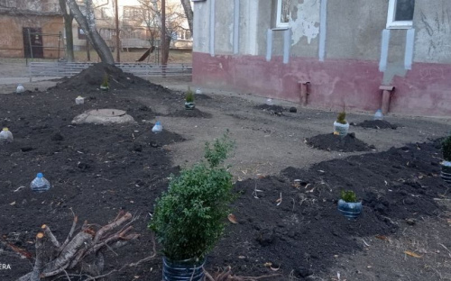 Жители ОСМД «Юбиляр-Авдеевка» продолжают обустраивать придомовую территорию в рамках конкурса социальных проектов (ФОТОФАКТ)