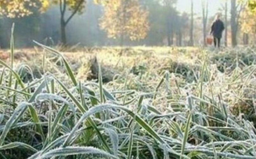 Синоптики розповіли, коли чекати перших осінніх заморозків