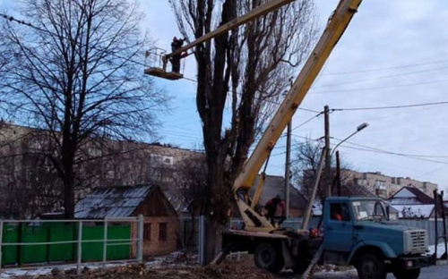 В Авдеевке коммунальщики удаляют аварийные деревья