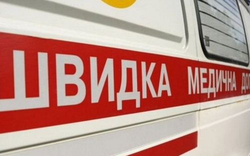 В Авдеевке из снежной ловушки вызволили 