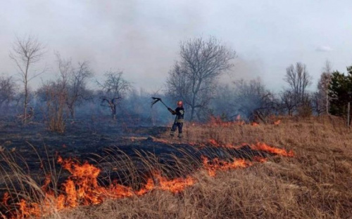 Авдіївців, які навмистно спалюють сухостій, можуть ув'язнити за диверсію