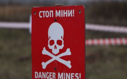 Пиротехники искали взрывоопасные предметы в Авдеевке