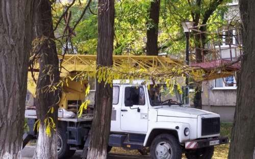 В Авдеевке обрезают аварийные ветви (ФОТОФАКТ)