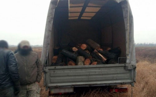 Полицейские выявили трех 