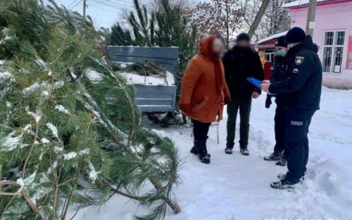 На Донетчине изъяли около трехсот браконьерских елок
