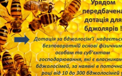 Пасечники Авдеевки могут получить дотацию на пчелосемьи