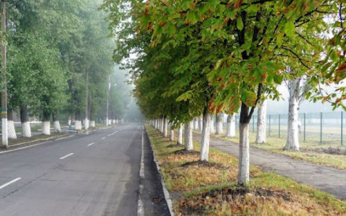 В Авдеевке проведут реконструкцию одной из центральных улиц