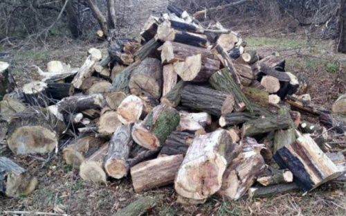 В Авдеевке полицейские задержали черных лесорубов