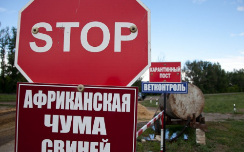 В Донецкой области зафиксирован случай африканской чумы, - ВГА Авдеевки