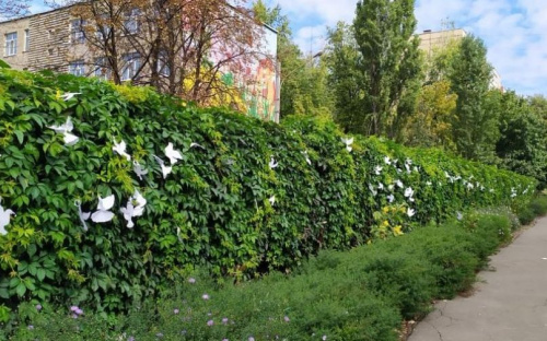 Як в Авдіївці святкували Міжнародний день миру