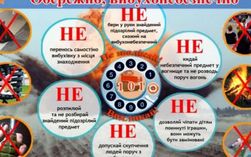 Житель Авдеевки нашел мину в огороде