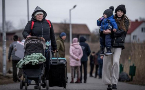 Україну залишили майже 4 мільйони громадян: дані ООН
