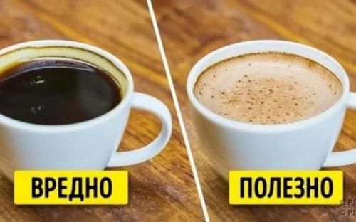 7 фактов о кофе, которые должен знать каждый кофеман