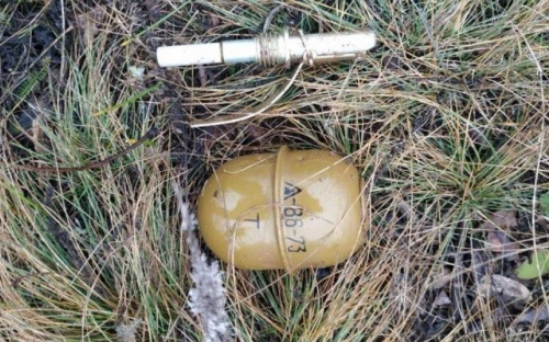 В Красногоровке мужчина хранил гранату на могиле своего брата