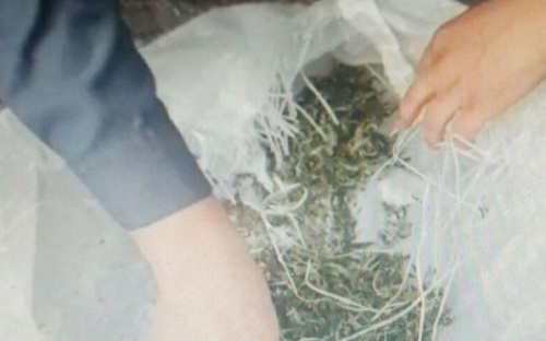 Полиция остановила в Авдеевке прохожего с мешком конопли