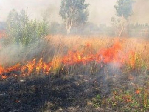 Донецкую область предупредили о чрезвычайной пожароопасности