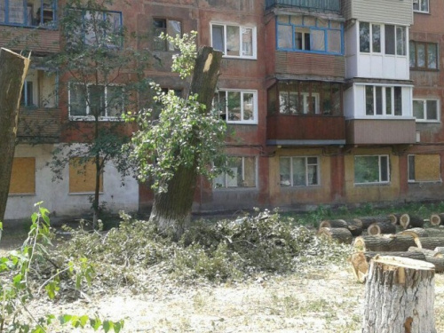 Обрезка деревьев оголила раны прифронтовой Авдеевки (ФОТО)