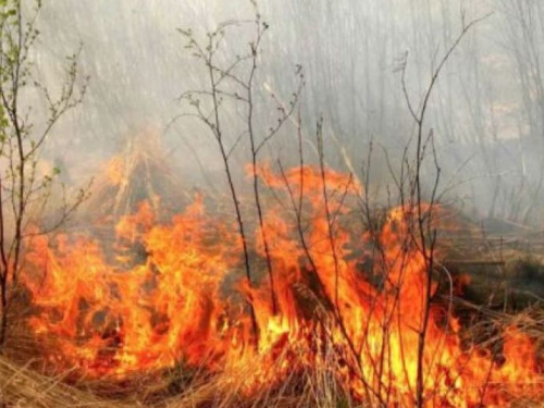 В Донецкой области объявили высокий уровень пожарной опасности