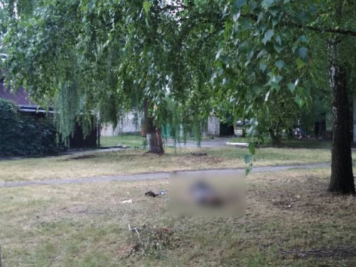 Авдеевский убийца не может объяснить свои действия