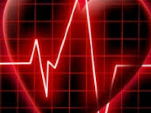 Авдеевские врачи улучшили свои знания по оказанию кардиологической помощи