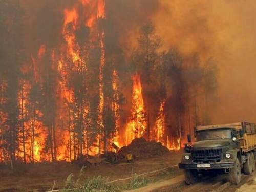Пожары в Сибири достигли национального масштаба