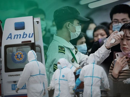 Жертвами нового коронавируса стали 492 человека