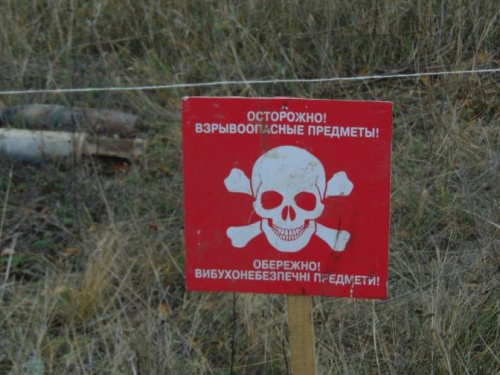 Пиротехники  за день очистили территорию Донетчины от 50 артснарядов, 6 мин  и 13 гранат