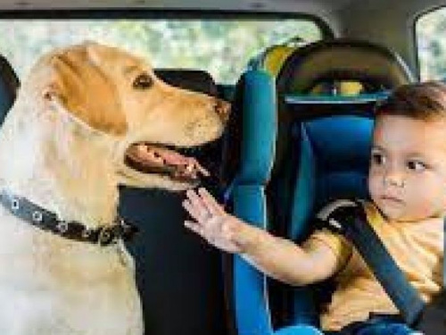 Поліція нагадує авдіївцям: не залишайте в машині у спеку дітей та тварин 