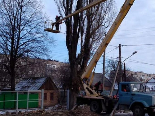 В Авдеевке коммунальщики удаляют аварийные деревья