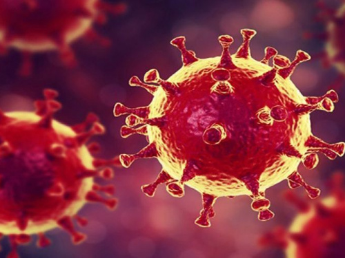 В НАН назвали две причины спада эпидемии коронавируса в Украине