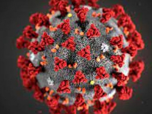 Число новых случаев заболевания коронавирусом за сутки уменьшилоось в два раза