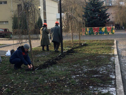 Авдеевка: «новогодними вандалами» оказались три девушки