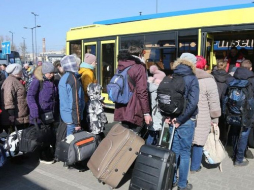 В Україні понад 8 млн внутрішньо переміщених людей - звіт ООН