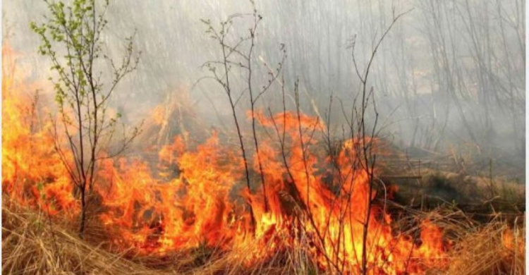 В Донецкой области объявили высокий уровень пожарной опасности